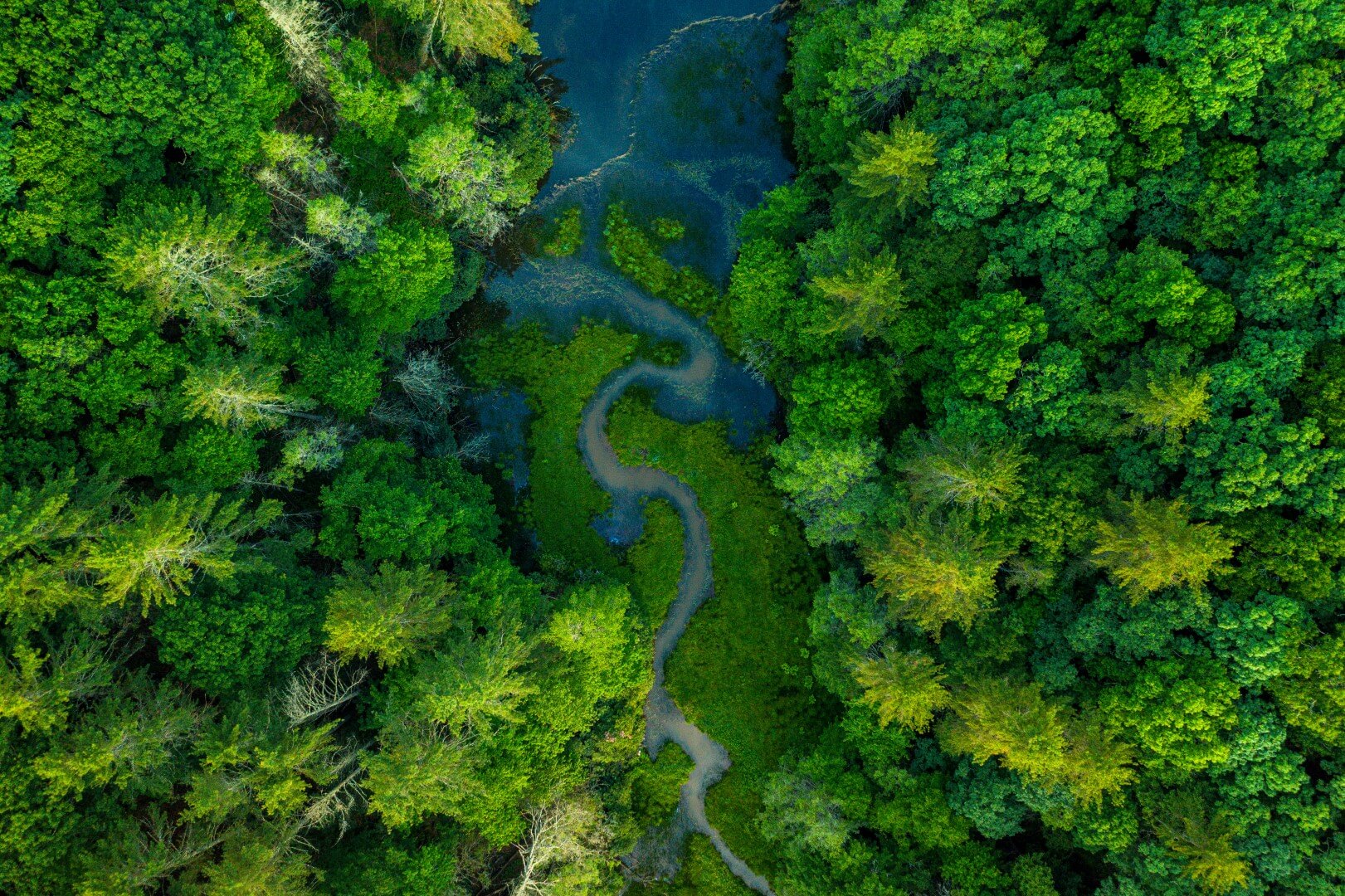 Manage Your Woodlands: Landowner Assistance in West Virginia - WV ...