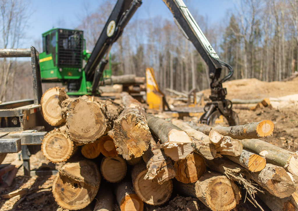 logging in west virginia forests