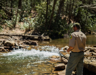 forest ranger fishing in a west virginia stream