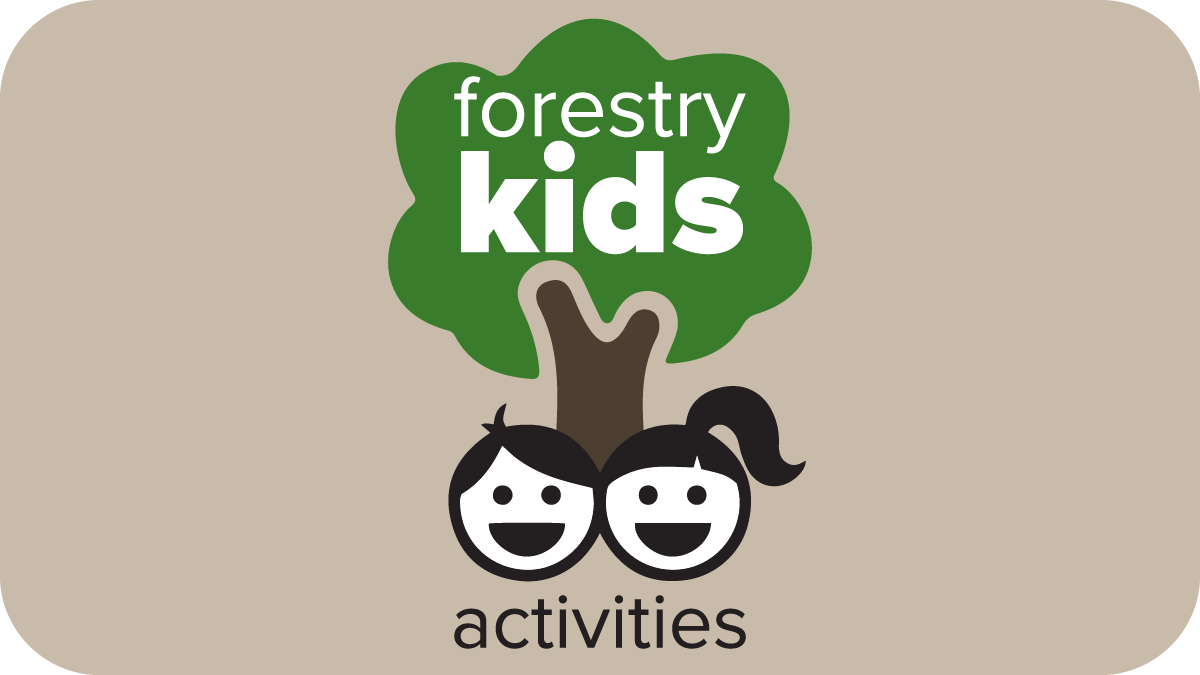 Test your knack for forest knowledge in these fun activities