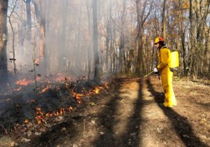Spring fire season is here: Let's do our part to prevent wildfires