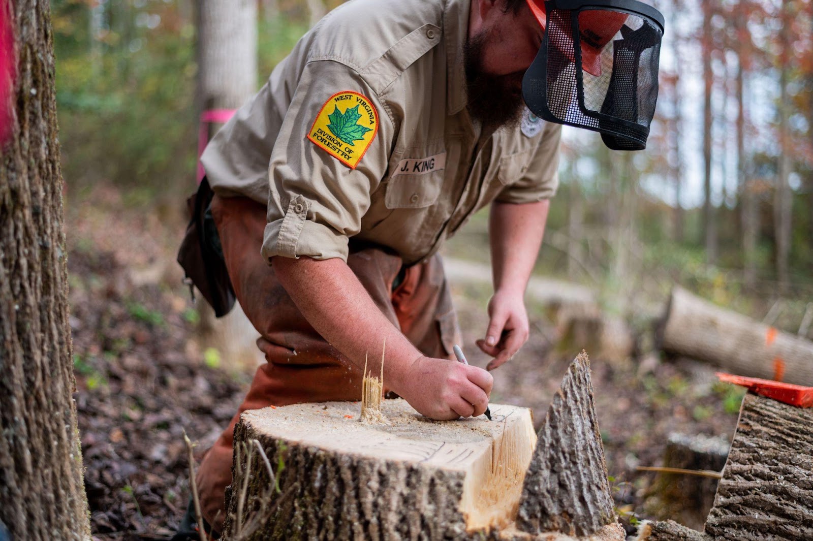 Division of Forestry: The Role of a West Virginia Forester