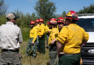 How Foresters Fight Wildfires