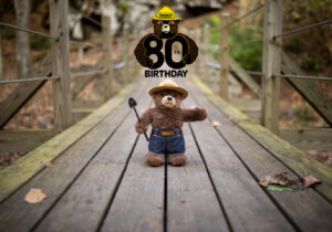 The History of Smokey Bear - Preventing Fires for 80 Years