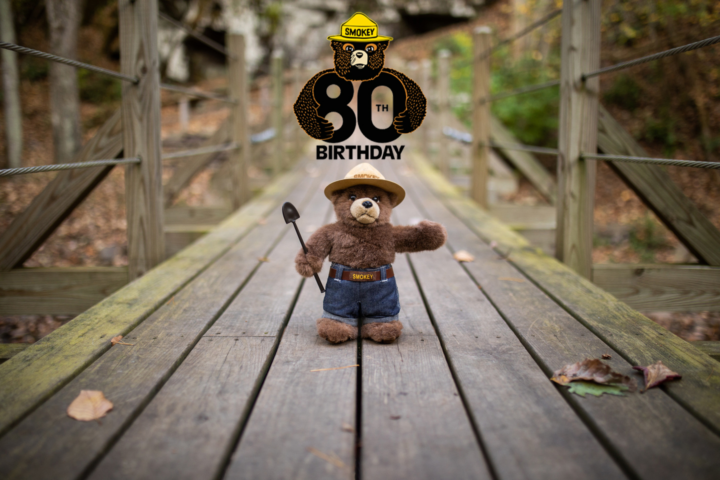 The History of Smokey Bear - Preventing Fires for 80 Years