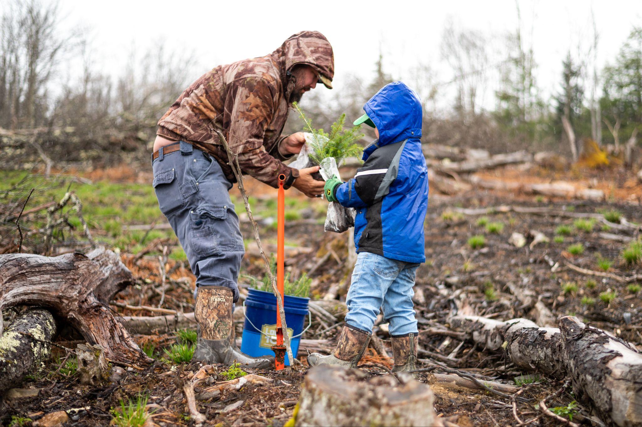 Project Learning Tree: Engage, Educate and Inspire With Environmental Education