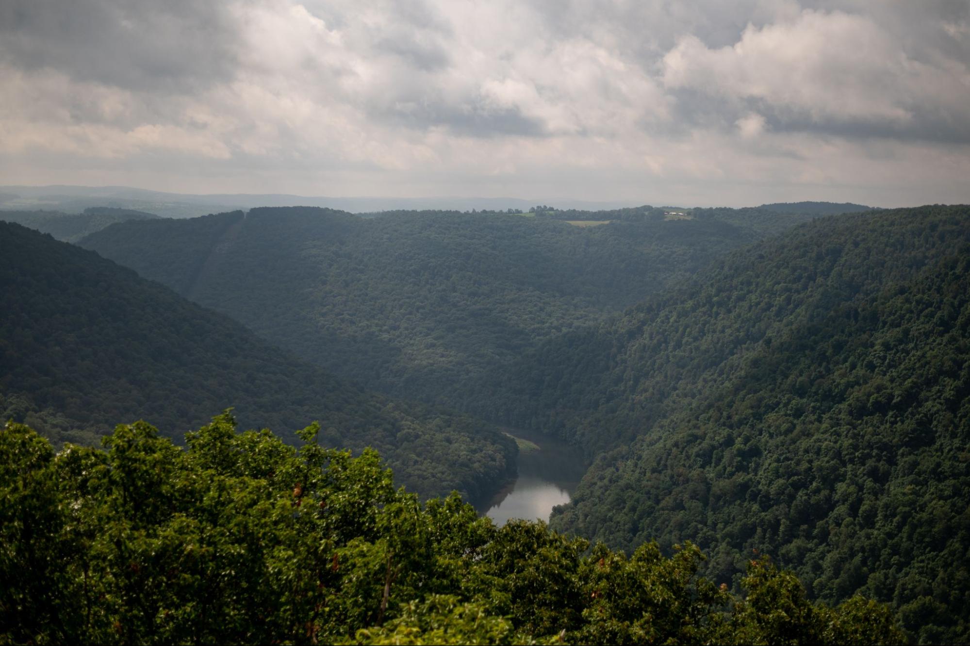 Exploring West Virginia’s State Forests